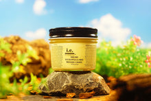 Load image into Gallery viewer, Dreamy Eucalyptus & Mint Massage Candle