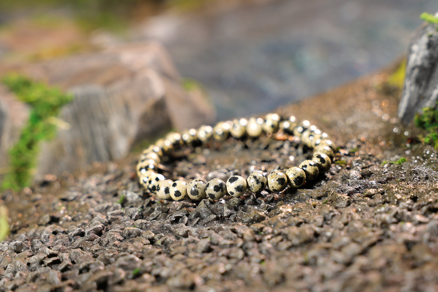 Dalmatian Jasper Bracelet (4mm, 6mm, 8mm or 10mm)