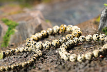 Load image into Gallery viewer, Dalmatian Jasper Bracelet (4mm, 6mm, 8mm or 10mm)
